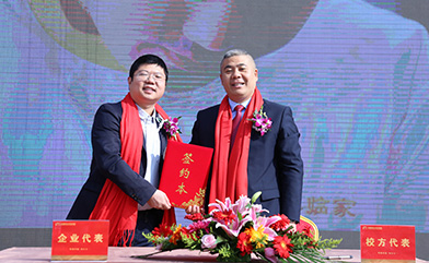 就业指导