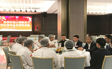 就业指导